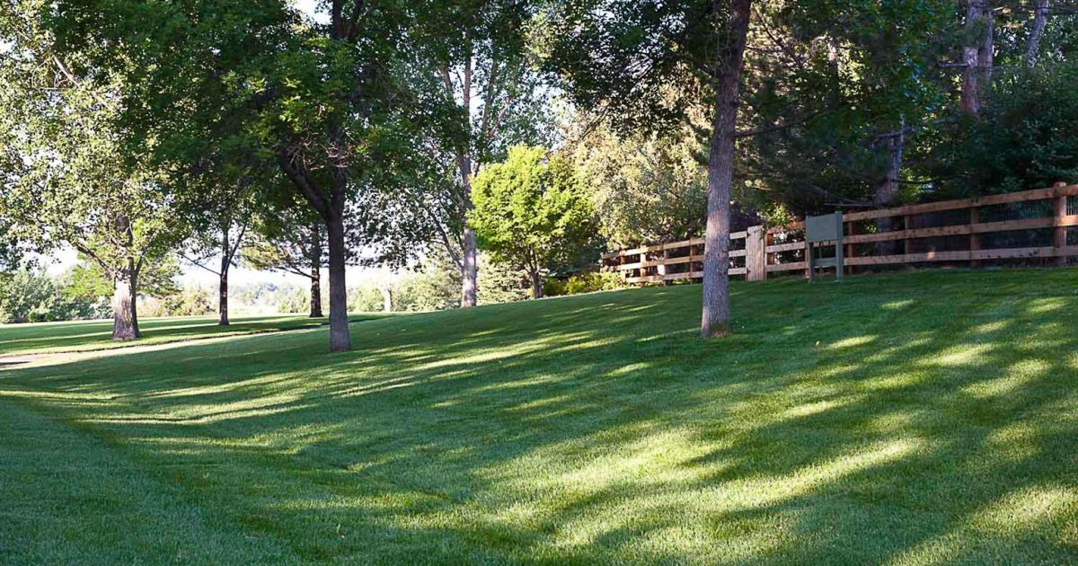 landscape-services-near-me landscape-services-near-me